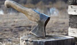 Mušė motiną, tėvą, o žmoną žalojo kirviu