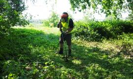 Piliakalniui ir kapinaitėms - jaunųjų ekologų dėmesys