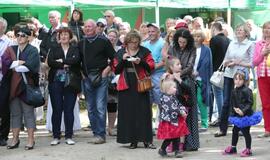 Švėkšnos vestuvinių muzikantų festivalis