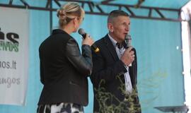 Švėkšnos vestuvinių muzikantų festivalis