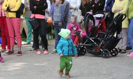 Švėkšnos vestuvinių muzikantų festivalis