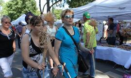 Į mugę - nors akies krašteliu