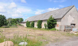 Kaip dvaro karvidė virto malūnu