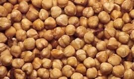 Klaipėdos įmonė importavo riešutus su vabzdžiais