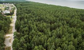 Palangos planai sukėlė tikrą audrą