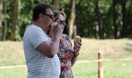 Kintų Pamario šventė: netrūko pramogų ir linksmybių