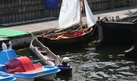 Drakonų laivų lenktynės