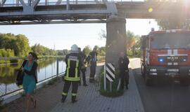 Elektros linijos gedimas Joniškės gatvėje