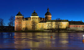 Didžiųjų vyrų moterys Lietuvos princesės