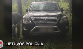 Klaipėdos pareigūnai sulaikė automobilio vagį