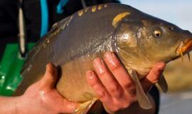 Nemokamos žvejybos dienos