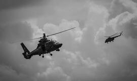 "Baltic Bikini 2016"