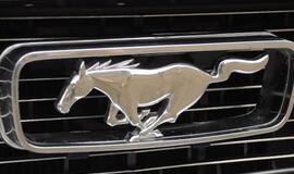 "American Spirit 2016"