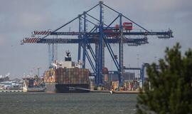 Uoste ir šiemet tikimasi rekordo