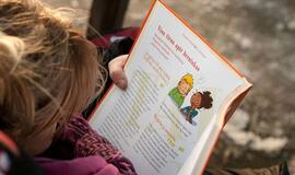 Karlsonas ar pokemonai