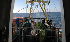 Lietuvai didėja strimelių ir šprotų žvejybos kvotos