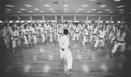 Tradicinės karatė do klubo „Danas“ sporto sezonas - jau čia!