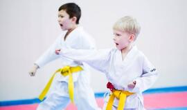 Tradicinės karatė do klubo „Danas“ sporto sezonas - jau čia!