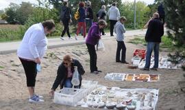 Kuršių vikingų regata