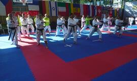 Tradicinės karatė do klubo „Danas“ sporto sezonas - jau čia!