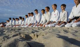 Tradicinės karatė do klubo „Danas“ sporto sezonas - jau čia!