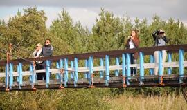 Kuršių vikingų regata