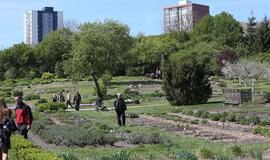 Savaitgalis: renginių lyg per Jūros šventę