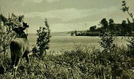 Apie Juodkrantę-Švarcortą ir Kopų gyventojų kilmę (3)