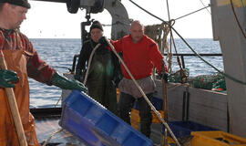 Dėl žvejybos kvotų kreipėsi į ESTT