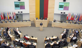 Koks turi būti naujasis Seimas