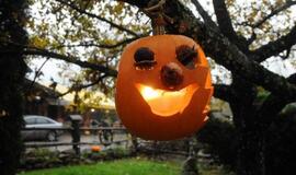 Moliūgų šventė Švėkšnoje