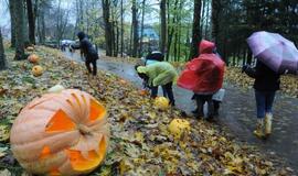 Moliūgų šventė Švėkšnoje