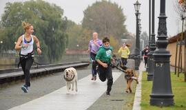Bėgimas su šunimis Klaipėdoje