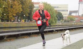 Bėgimas su šunimis Klaipėdoje