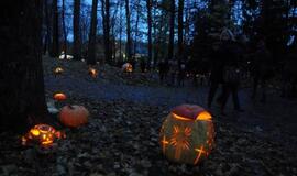 Moliūgų šventė Švėkšnoje