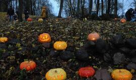 Moliūgų šventė Švėkšnoje