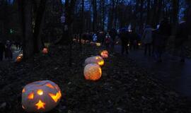 Moliūgų šventė Švėkšnoje