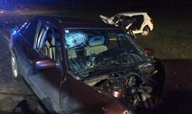 Klaipėdos rajone - automobilių kaktomuša