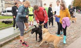 Bėgimas su šunimis Klaipėdoje