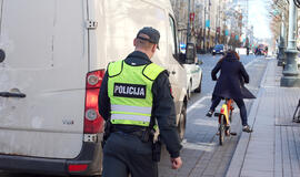 Policija: rinkimų diena buvo gana rami