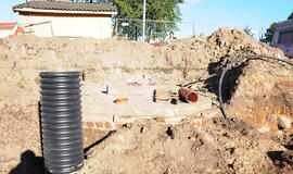 Radinys nustebino paveldosaugininkus