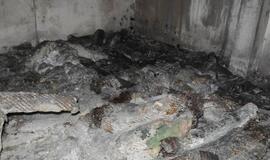 Ką ir kuo vilioja Klaipėdos Holivudas?