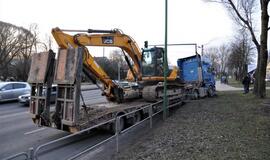 Vilkikas sumaitojo atitvarus