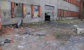 Ką ir kuo vilioja Klaipėdos Holivudas?