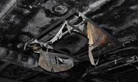 Ką ir kuo vilioja Klaipėdos Holivudas?