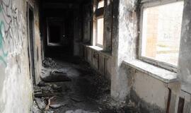 Ką ir kuo vilioja Klaipėdos Holivudas?