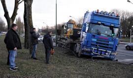 Vilkikas sumaitojo atitvarus