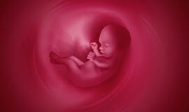 Seimas priėmė Pagalbinio apvaisinimo įstatymo pataisas – nepanaudoti embrionai turės būti saugomi