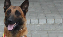 Teismas pradeda nagrinėti Arvydo Komskio bylą dėl šūvio į pasieniečių šunį