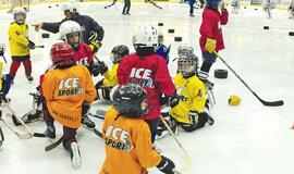 Klaipėdoje atgimsta ledo ritulys